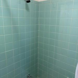 Photo #17 of 103 Idlebrook Drive, Madison Heights, VA 0.8 acres
