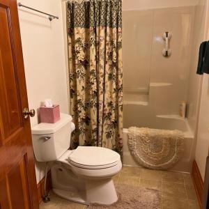 Photo #7 of 1151 Union Hill Road, Amherst, VA 1.3 acres