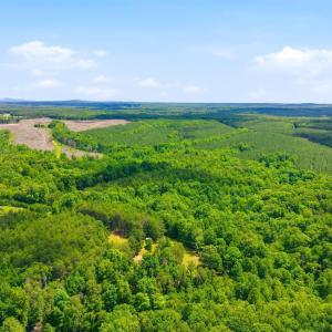 Photo #92 of 404 Old Farm Road, Spout Spring, VA 25.1 acres