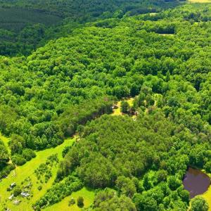 Photo #88 of 404 Old Farm Road, Spout Spring, VA 25.1 acres