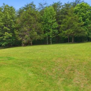 Photo #79 of 404 Old Farm Road, Spout Spring, VA 25.1 acres
