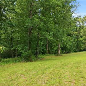 Photo #82 of 404 Old Farm Road, Spout Spring, VA 25.1 acres