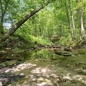 Photo #8 of 404 Old Farm Road, Spout Spring, VA 25.1 acres