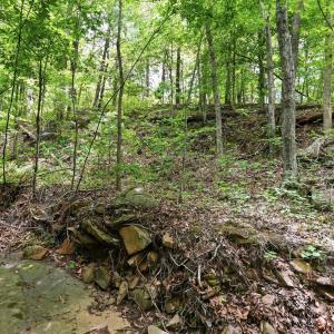 Photo #12 of 404 Old Farm Road, Spout Spring, VA 25.1 acres