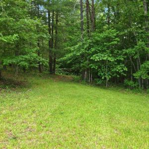 Photo #80 of 404 Old Farm Road, Spout Spring, VA 25.1 acres