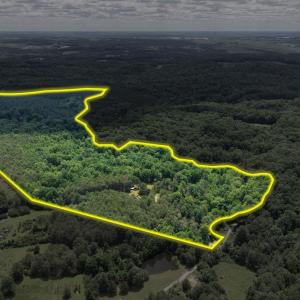 Photo #14 of 404 Old Farm Road, Spout Spring, VA 25.1 acres