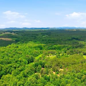 Photo #89 of 404 Old Farm Road, Spout Spring, VA 25.1 acres