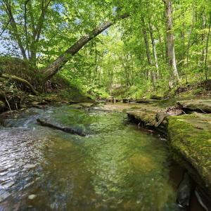 Photo #11 of 404 Old Farm Road, Spout Spring, VA 25.1 acres