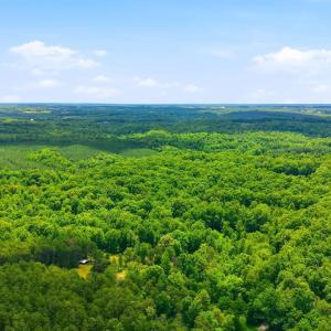 Photo #93 of 404 Old Farm Road, Spout Spring, VA 25.1 acres