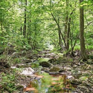 Photo #10 of 404 Old Farm Road, Spout Spring, VA 25.1 acres
