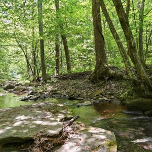 Photo #9 of 404 Old Farm Road, Spout Spring, VA 25.1 acres