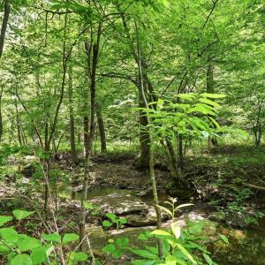 Photo #7 of 404 Old Farm Road, Spout Spring, VA 25.1 acres