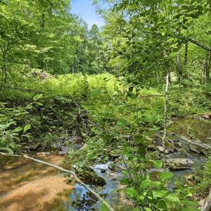 Photo #6 of 404 Old Farm Road, Spout Spring, VA 25.1 acres