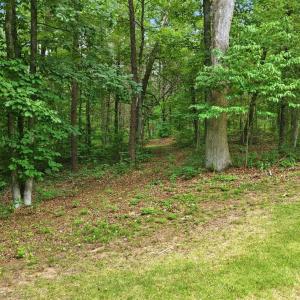 Photo #85 of 404 Old Farm Road, Spout Spring, VA 25.1 acres