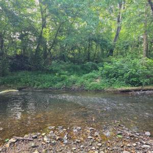 Photo #75 of 1408 Coleman Mountain Road, Appomattox, VA 23.6 acres