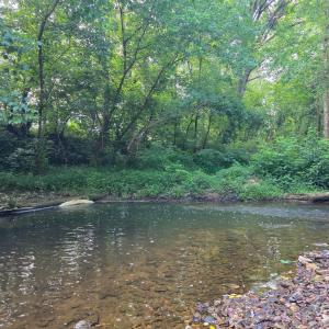 Photo #81 of 1408 Coleman Mountain Road, Appomattox, VA 23.6 acres