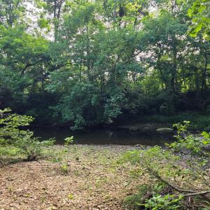 Photo #84 of 1408 Coleman Mountain Road, Appomattox, VA 23.6 acres