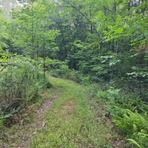 Photo #70 of 1408 Coleman Mountain Road, Appomattox, VA 23.6 acres