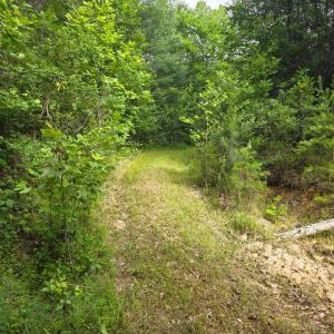 Photo #64 of 1408 Coleman Mountain Road, Appomattox, VA 23.6 acres