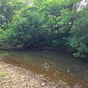 Photo #76 of 1408 Coleman Mountain Road, Appomattox, VA 23.6 acres
