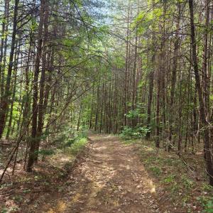 Photo #63 of 1408 Coleman Mountain Road, Appomattox, VA 23.6 acres