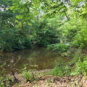 Photo #83 of 1408 Coleman Mountain Road, Appomattox, VA 23.6 acres
