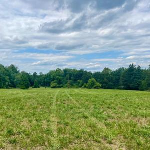 Photo #37 of 8189 Virginia Byway, Bedford, VA 7.6 acres