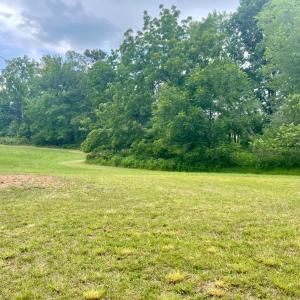 Photo #39 of 8189 Virginia Byway, Bedford, VA 7.6 acres
