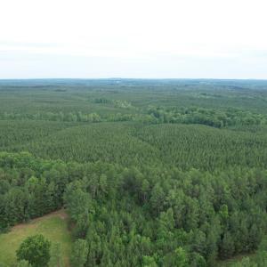 Photo #6 of 1531 Chestnut Grove, Appomattox, VA 5.0 acres