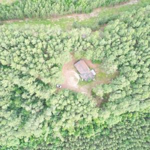 Photo #5 of 1531 Chestnut Grove, Appomattox, VA 5.0 acres