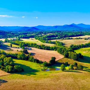 Photo #81 of 6481 Stewartsville Road, Moneta, VA 4.8 acres