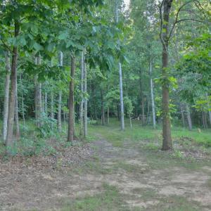 Photo #71 of 6481 Stewartsville Road, Moneta, VA 4.8 acres