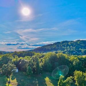 Photo #79 of 6481 Stewartsville Road, Moneta, VA 4.8 acres