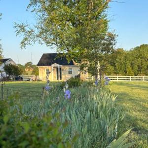Photo #39 of 1237 Austin Mill Road, Evington, VA 4.6 acres