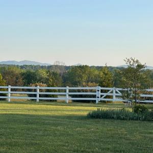 Photo #38 of 1237 Austin Mill Road, Evington, VA 4.6 acres