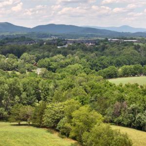 Photo #4 of 213 Big Maple Dr., Forest, VA 3.6 acres