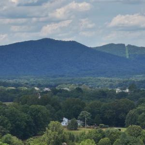 Photo #60 of 213 Big Maple Dr., Forest, VA 3.6 acres