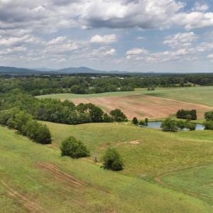 Photo #59 of 213 Big Maple Dr., Forest, VA 3.6 acres