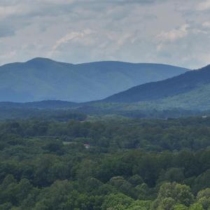 Photo #61 of 213 Big Maple Dr., Forest, VA 3.6 acres