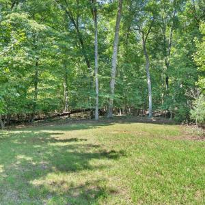 Photo #73 of 2677 Tolers Ferry Rd, Huddleston, VA 1.7 acres
