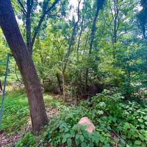 Photo #25 of 1098 Clear Springs Rd, Montvale, VA 0.7 acres