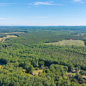 Photo #53 of 439 Gala Lake Rd., Spout Spring, VA 6.2 acres