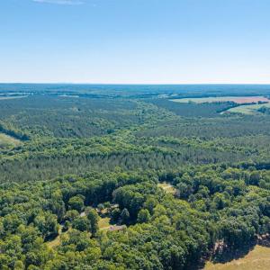 Photo #54 of 439 Gala Lake Rd., Spout Spring, VA 6.2 acres