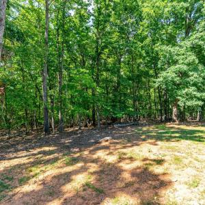 Photo #36 of 3237 Dearborn Rd., Evington, VA 4.8 acres