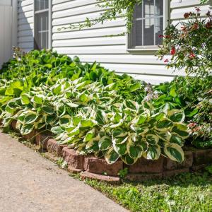 Photo #68 of 106 Wyndpark Circle, Lynchburg, VA 0.1 acres