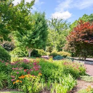 Photo #49 of 110 Matohe, Monroe, VA 9.4 acres