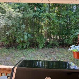Photo #19 of 100 Walton Drive, Moneta, VA 1.1 acres