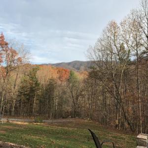 Photo #78 of 1019 Wagon Trail Road, Monroe, VA 7.9 acres
