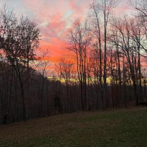 Photo #79 of 1019 Wagon Trail Road, Monroe, VA 7.9 acres