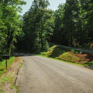 Photo #65 of 1019 Wagon Trail Road, Monroe, VA 7.9 acres